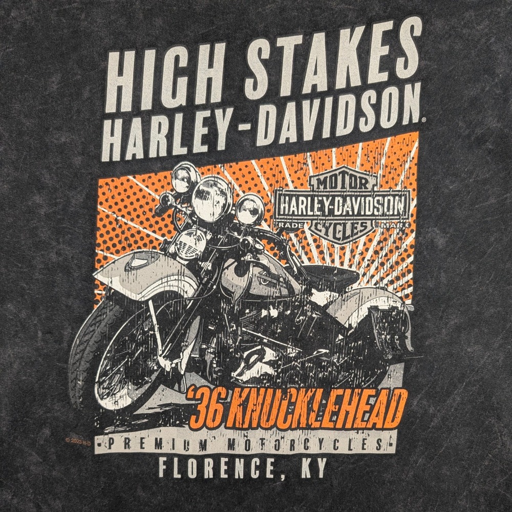 Harley-Davidson Shirt Mens XL Gray Mineral Wash Double Sided Graphic Biker - Picture 9 of 10